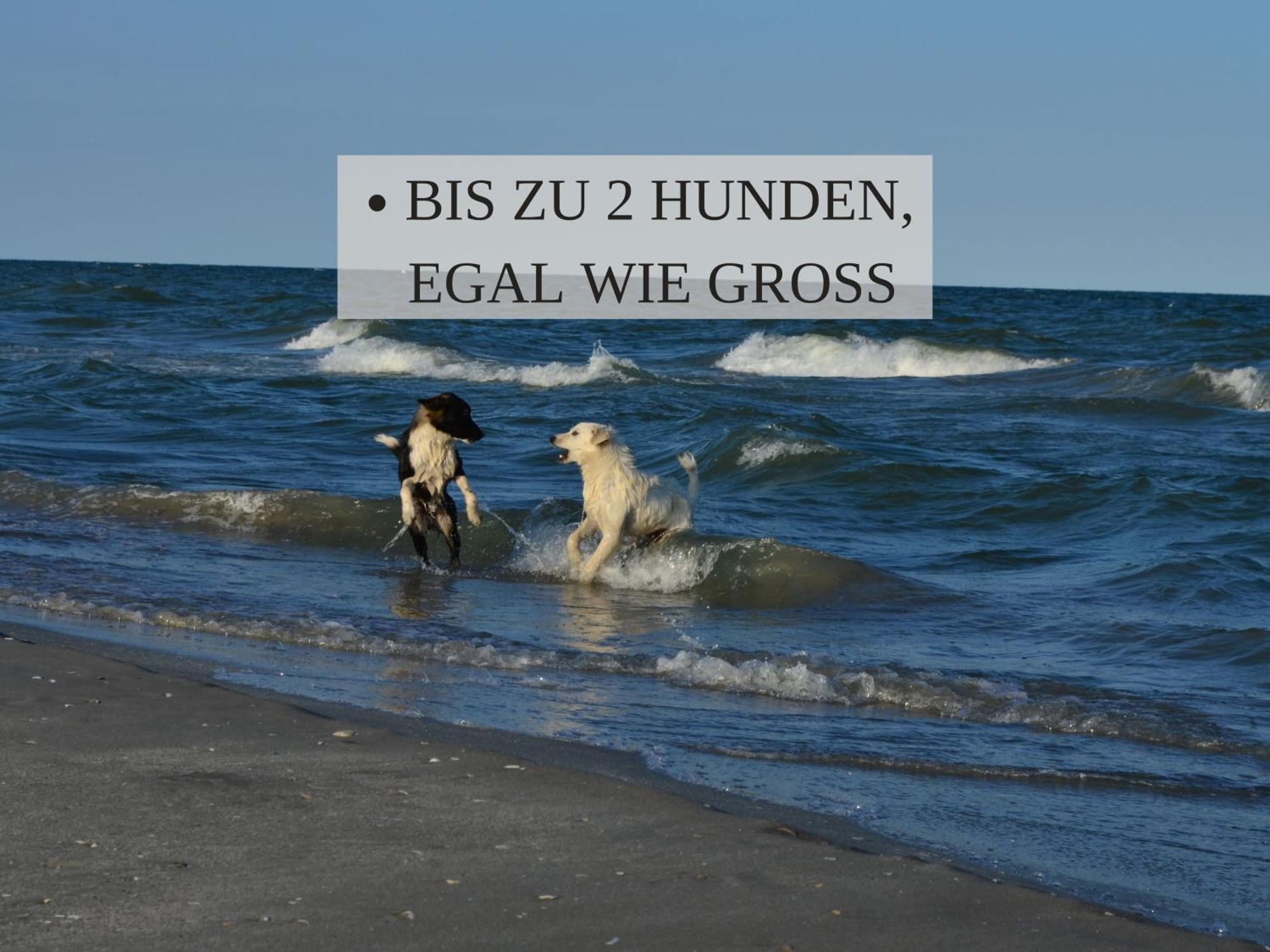 Haus Krabbe, Apartment 10, Naehe Bremerhaven, Fuer 1-2 Personen, 2 Schlafzimmer, Einzelbetten, Zweite Etage, Zentral Gelegen, Bis Zu 2 Hunden Kostenfrei Willkommen Wremen Εξωτερικό φωτογραφία